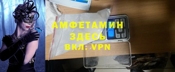стаф Алексин