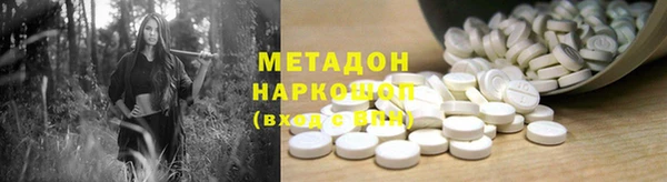 стаф Алексин