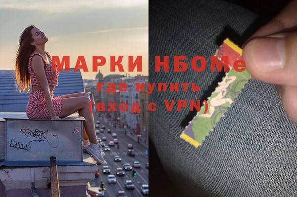 стаф Алексин