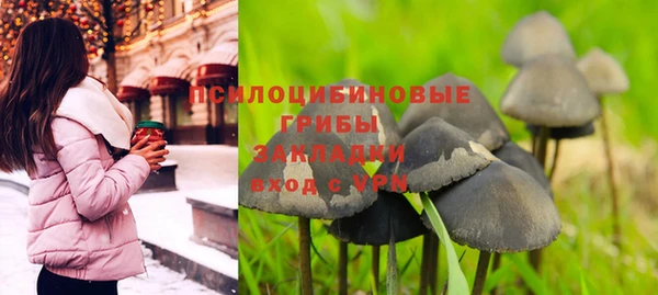 mdpv Алзамай