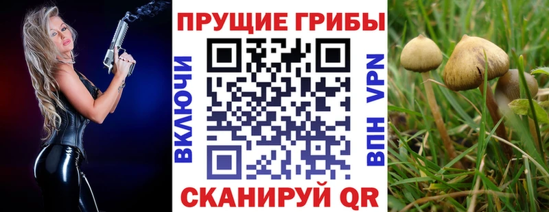 Псилоцибиновые грибы Magic Shrooms  Цивильск 
